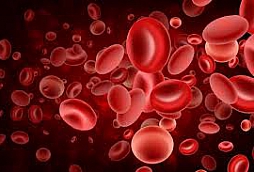 Hb Variants and Genetic Disorders