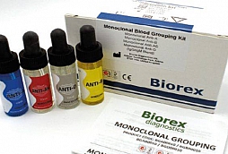 Blood Group Serology Testing