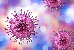 Cytomegalovirus (CMV)