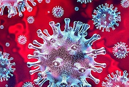 Coronavirus SARS-CoV-2 (COVID-19)