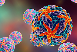 Dengue virus