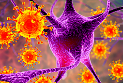 Epstein-Barr virus
