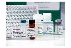 GMO ELISA Tests