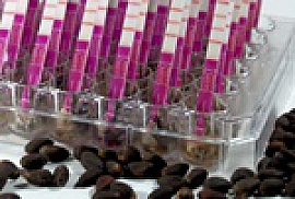 GMO ImmunoStrip® Tests