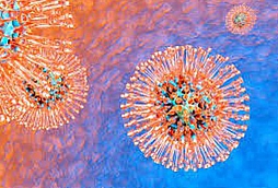 Herpes simplex Virus