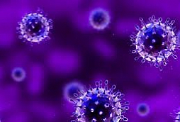 Measles virus