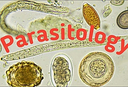 Parasitology