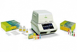 PCR Detection Kits