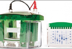 Protein Analysis