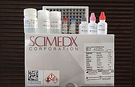 Strongyloides Antibody Assay